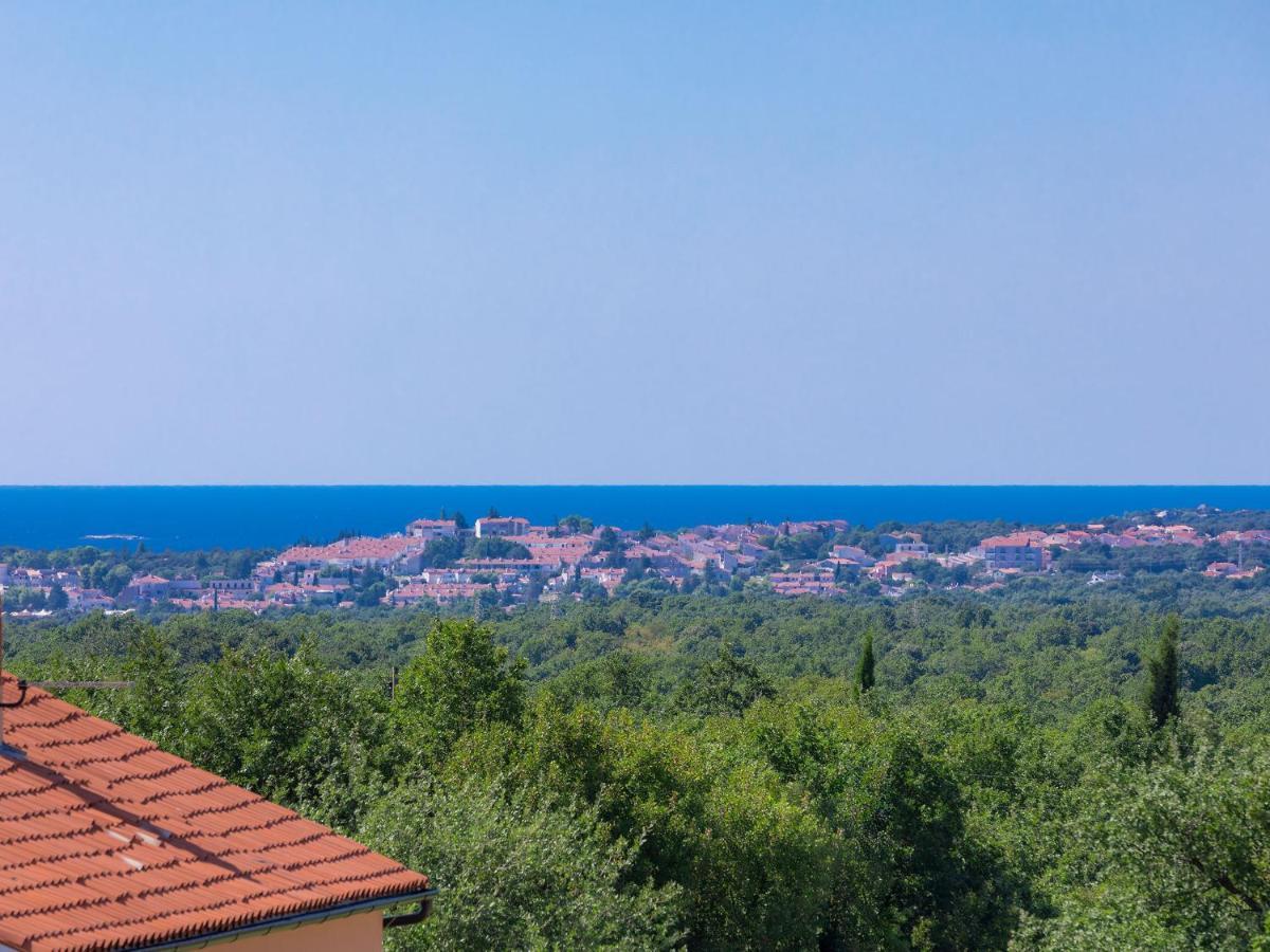 Holiday Home Gracije - Voj515 By Interhome Mednjan Dış mekan fotoğraf